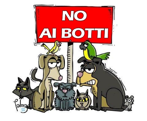 Botti di capodanno